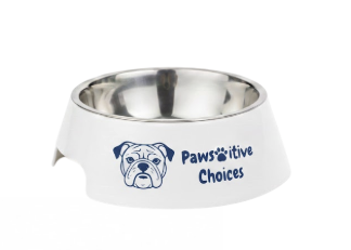 Paws-itive Choices Non-Slip Stainless Steel Pet Bowl